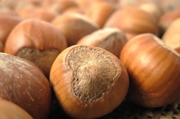 50 % Noisettes
